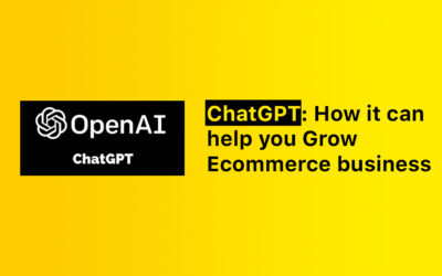 ChatGPT: How it can help you Grow Ecommerce business (Tips and Tactics)